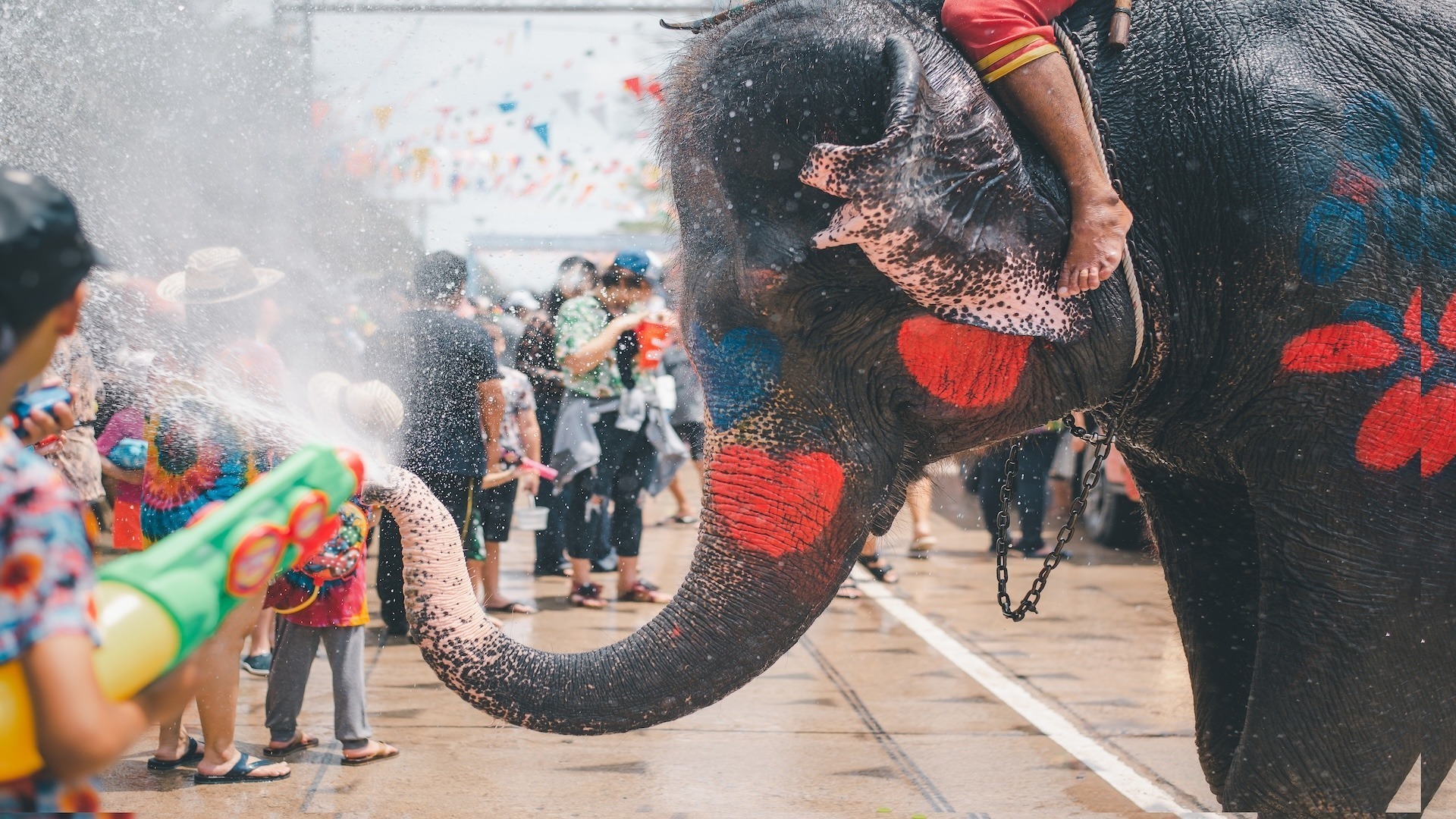 A Guide to Thailand’s Festivals