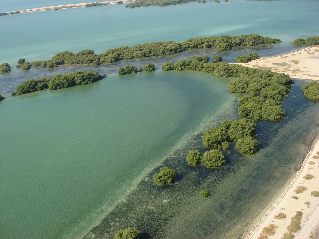 Bu Tinah Island, Abu Dhabi