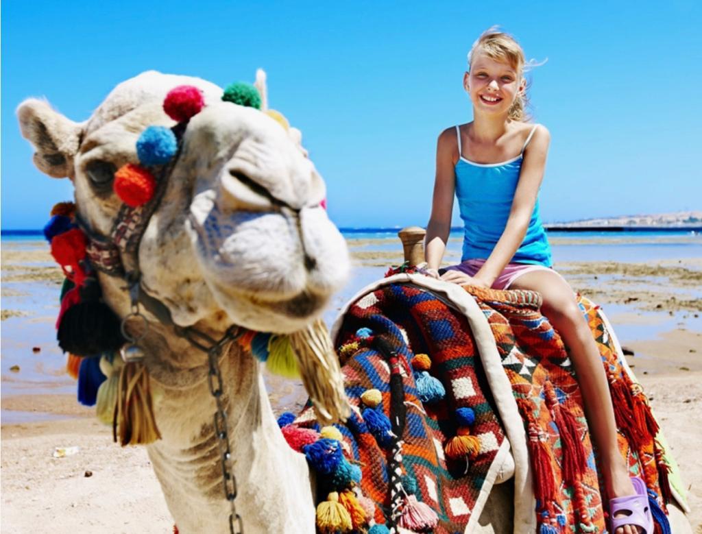 Camel Riding Qatar