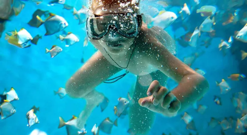 Discovering Sri Lanka’s Stunning Beaches