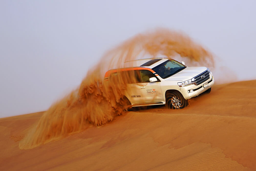 Dune Bashing and Desert Safaris