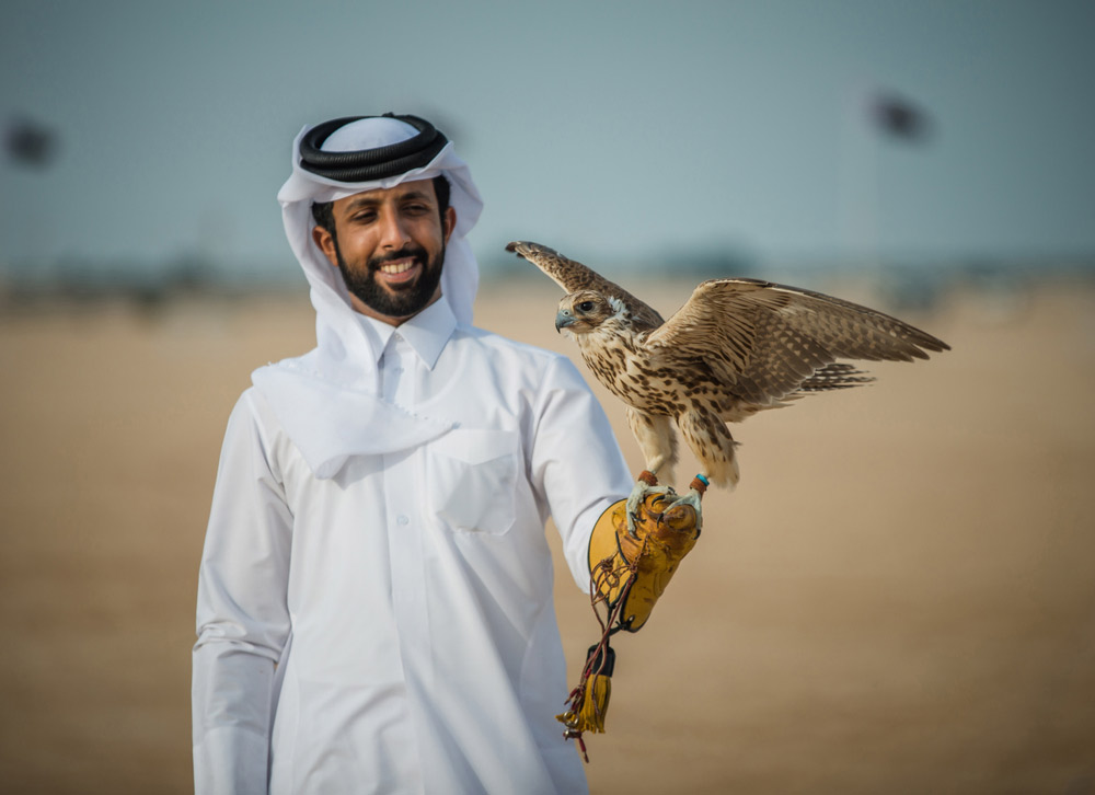 Falconry Displays Qatar