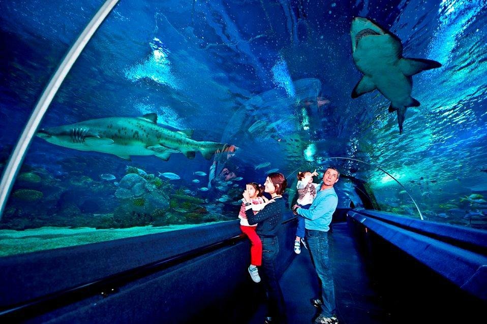 Istanbul Aquarium (Istanbul)