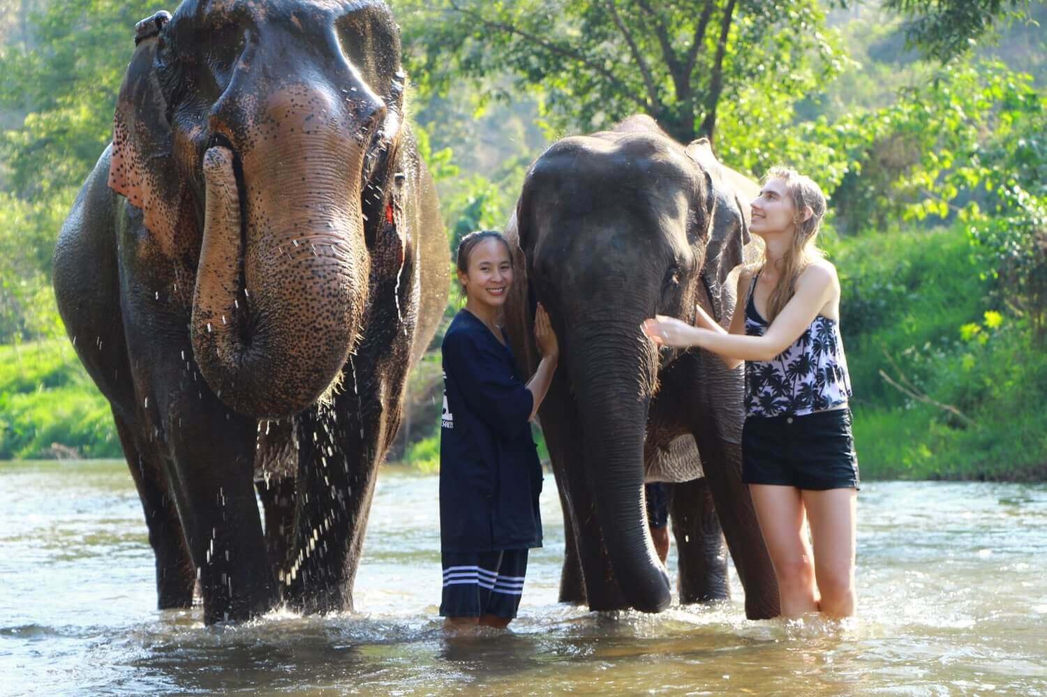 Thailand’s Best Elephant Sanctuaries