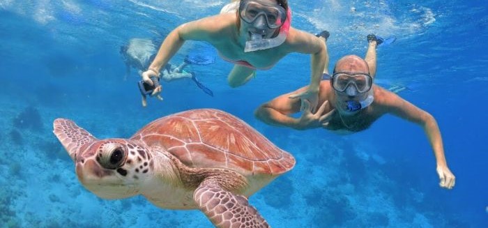 Diving and Snorkeling in Oman