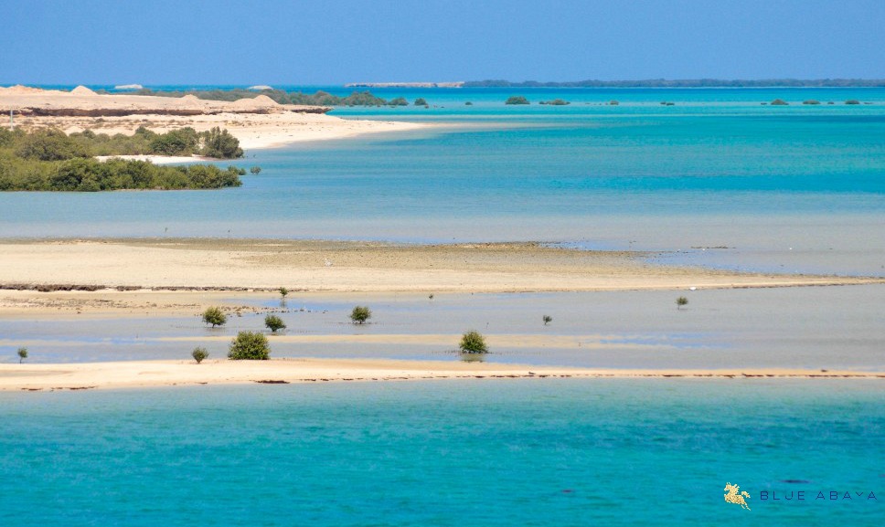 Eco-Tourism in Saudi Arabia