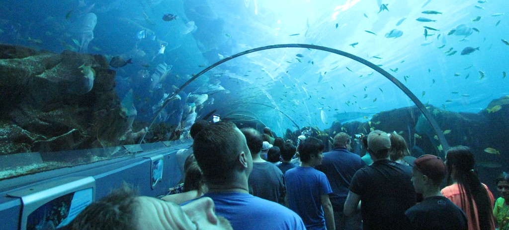 Family-Friendly Activities in Georgia