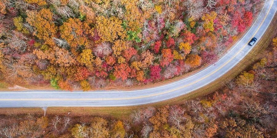 Road Tripping Across Georgia