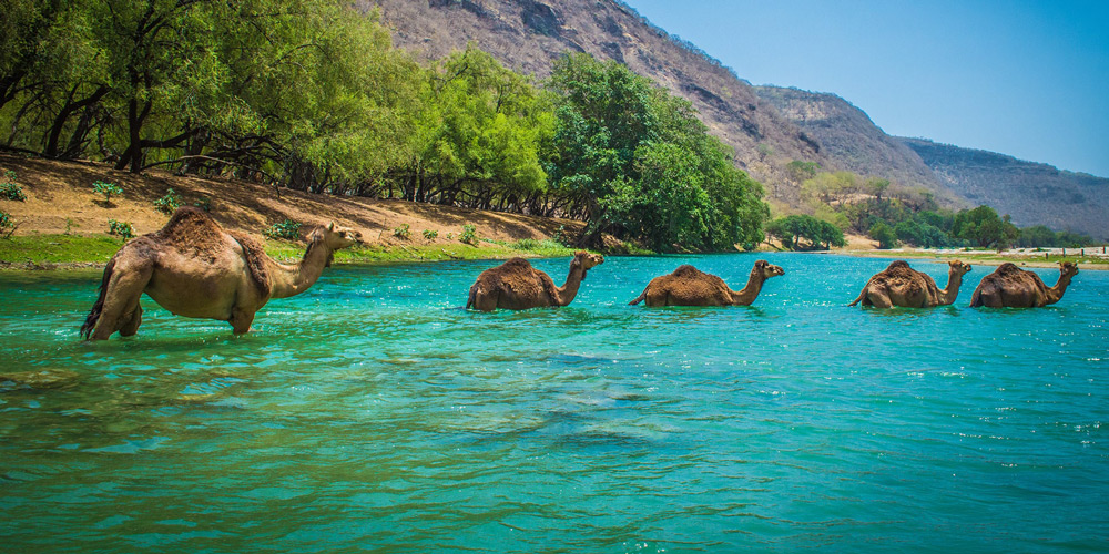 Top 10 Must-Visit Attractions in Oman